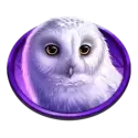 icon 3