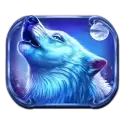 icon 1