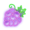 icon 5
