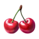 icon 9