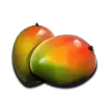icon 4