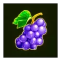 icon 4