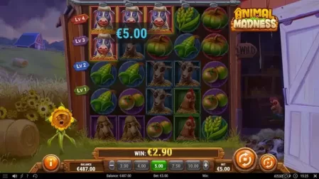Animal Madness slot screenshot 5