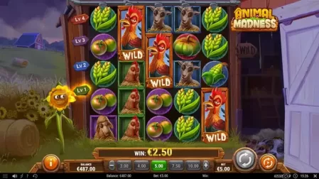 Animal Madness slot screenshot 6