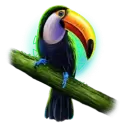 icon 4