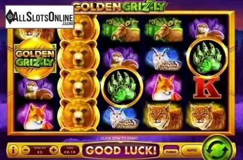 Reel Screen. Golden Grizzly from Skywind Group