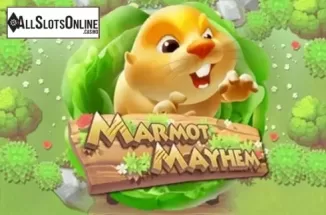 Marmot Mayhem