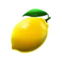 icon 7