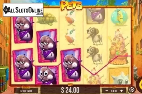 Win screen. Pets (Pariplay) from Pariplay