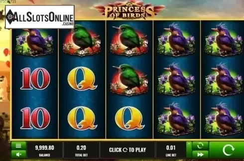 Reel screen. Princess of Birds from Platipus
