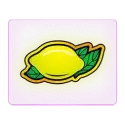 icon 13