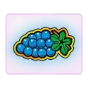 icon 6