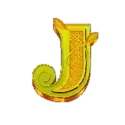 icon 8
