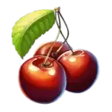 icon 6