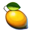 icon 5