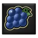 icon 4
