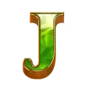 icon 10