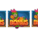 Bonus Buy Free Spins Feature