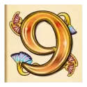 icon 12