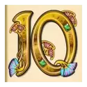 icon 11