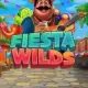 Fiesta Wilds