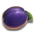 icon 5
