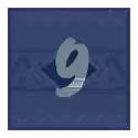 icon 13