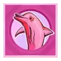icon 6