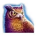 icon 2