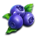 icon 4