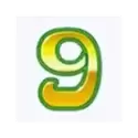 icon 11
