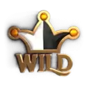 icon 10