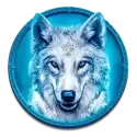 icon 4