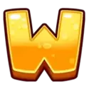 icon 13