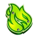 icon 5