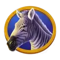 icon 4