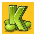icon 5