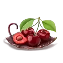 icon 5