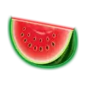 icon 5