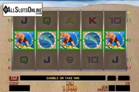 Screen4. Magic Surfer from Merkur