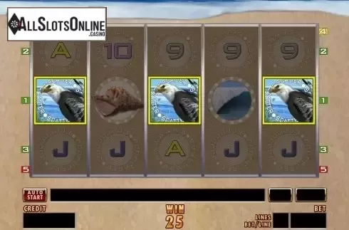 Screen5. Magic Surfer from Merkur