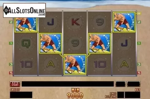 Screen7. Magic Surfer from Merkur
