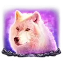 icon 5