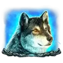icon 4
