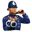 icon 3