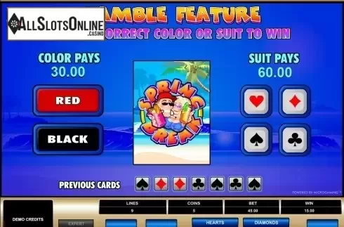 Screen5. Spring Break from Microgaming