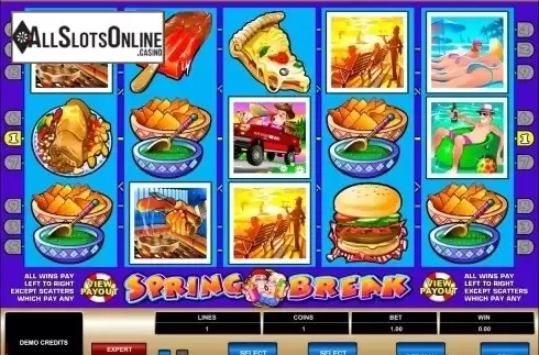 Screen3. Spring Break from Microgaming