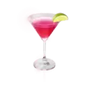 icon 10