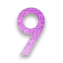 icon 10