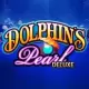 Dolphins Pearl Deluxe